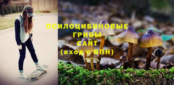 стаф Зерноград