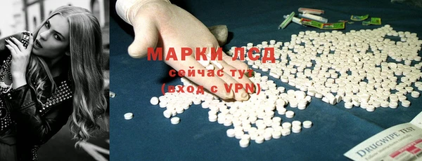 стаф Зерноград